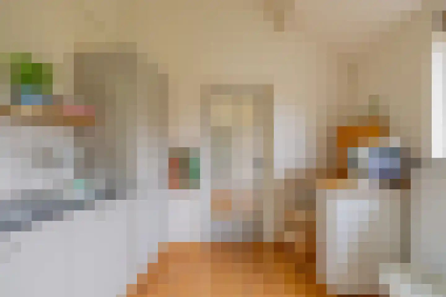 Ds. van Wouwestraat 26 Serooskerke thumbnail 22