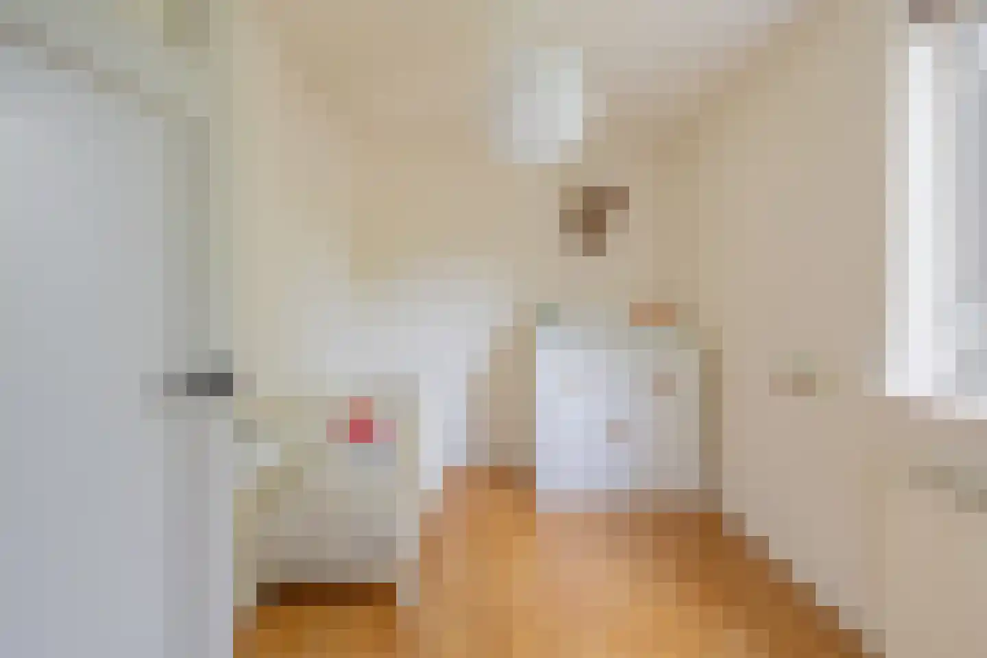 Ds. van Wouwestraat 26 Serooskerke thumbnail 38