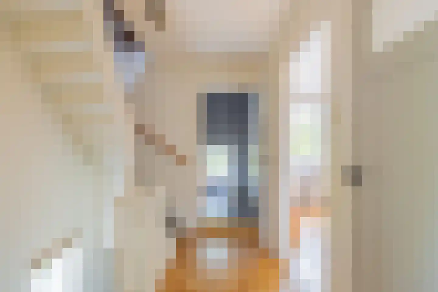 Ds. van Wouwestraat 26 Serooskerke thumbnail 40