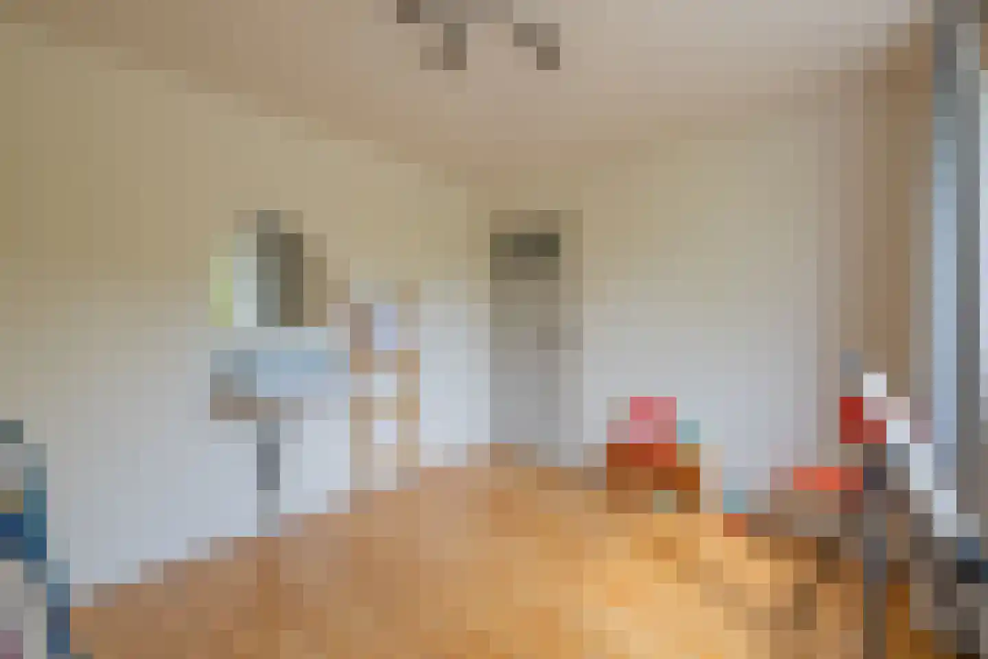 Ds. van Wouwestraat 26 Serooskerke thumbnail 42