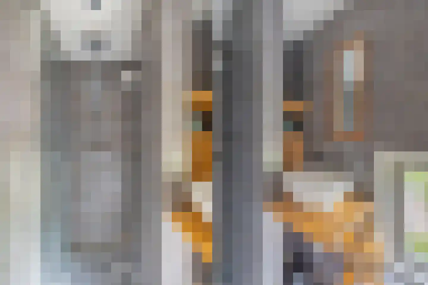 Ds. van Wouwestraat 26 Serooskerke thumbnail 45