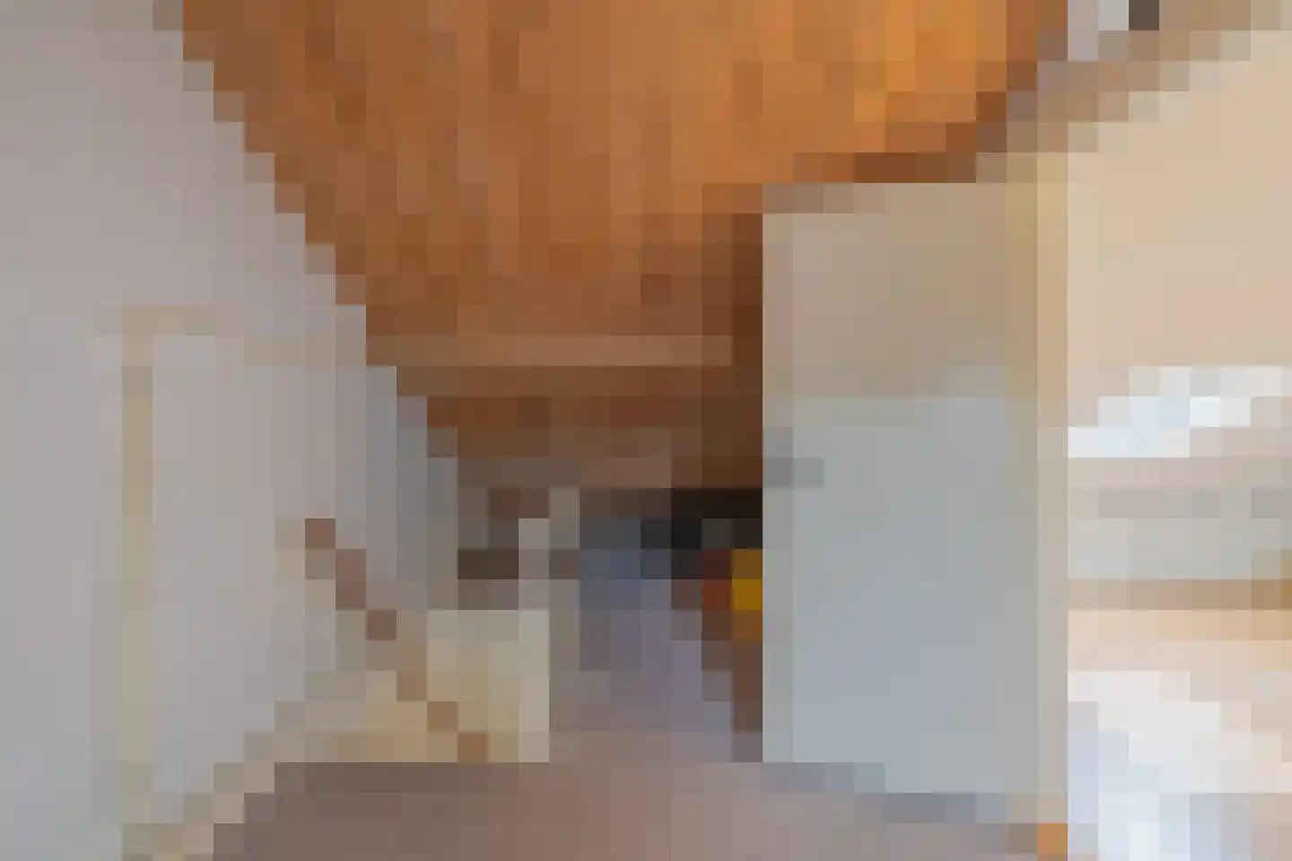 Ds. van Wouwestraat 26 Serooskerke thumbnail 47