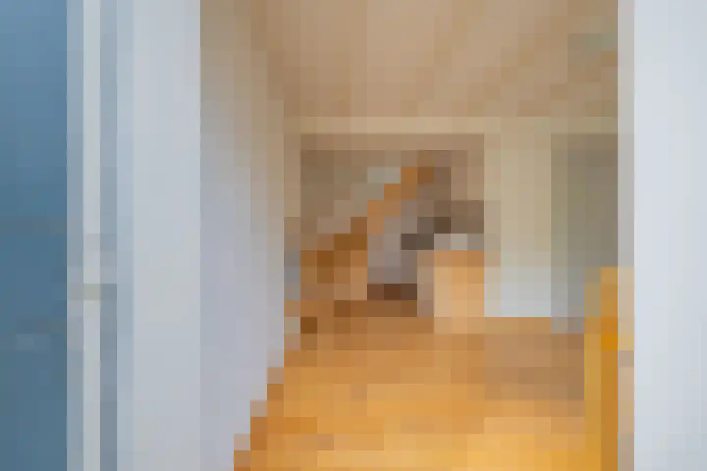Ds. van Wouwestraat 26 Serooskerke thumbnail 56