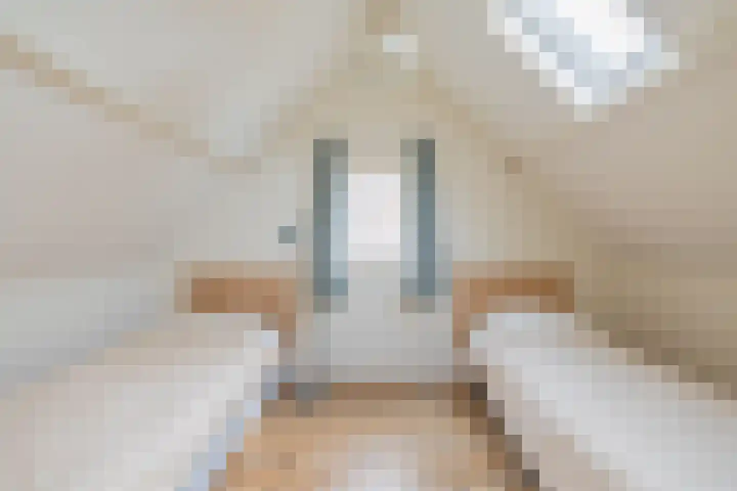 Ds. van Wouwestraat 26 Serooskerke thumbnail 67