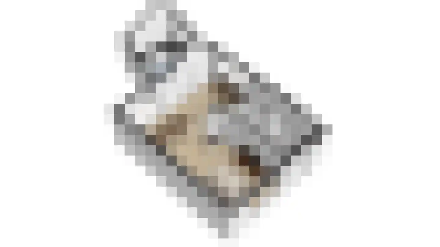 Ds. van Wouwestraat 26 Serooskerke thumbnail 7