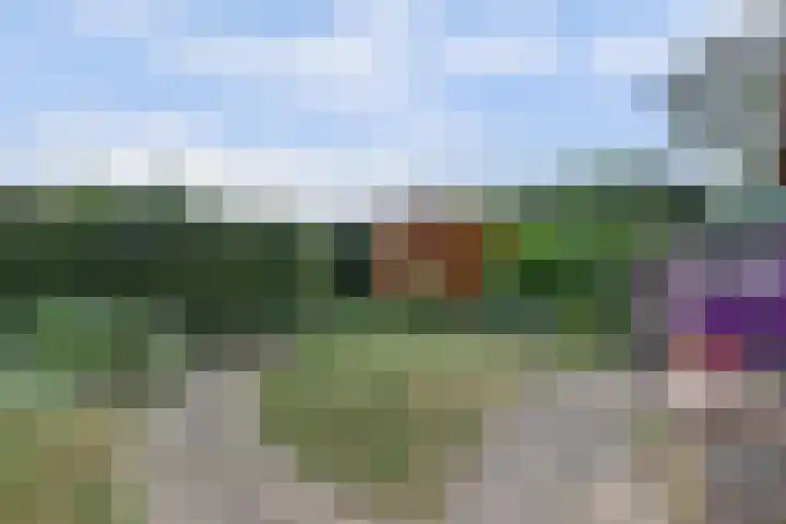 Ds. van Wouwestraat 29 Serooskerke thumbnail 33
