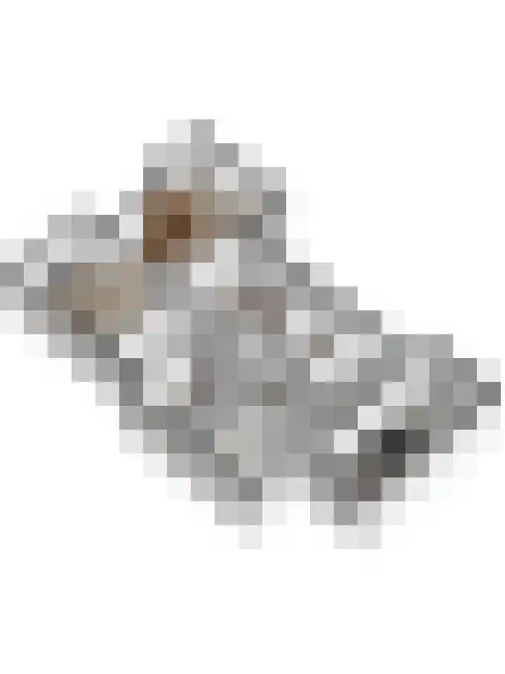 Ds. van Wouwestraat 29 Serooskerke thumbnail 41