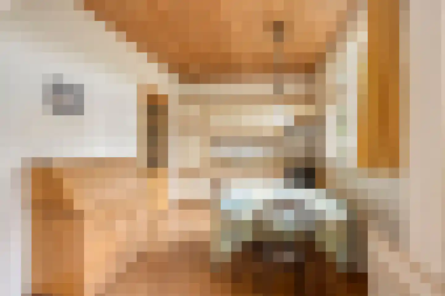 Ds Veenweg 157 De Knipe thumbnail 17