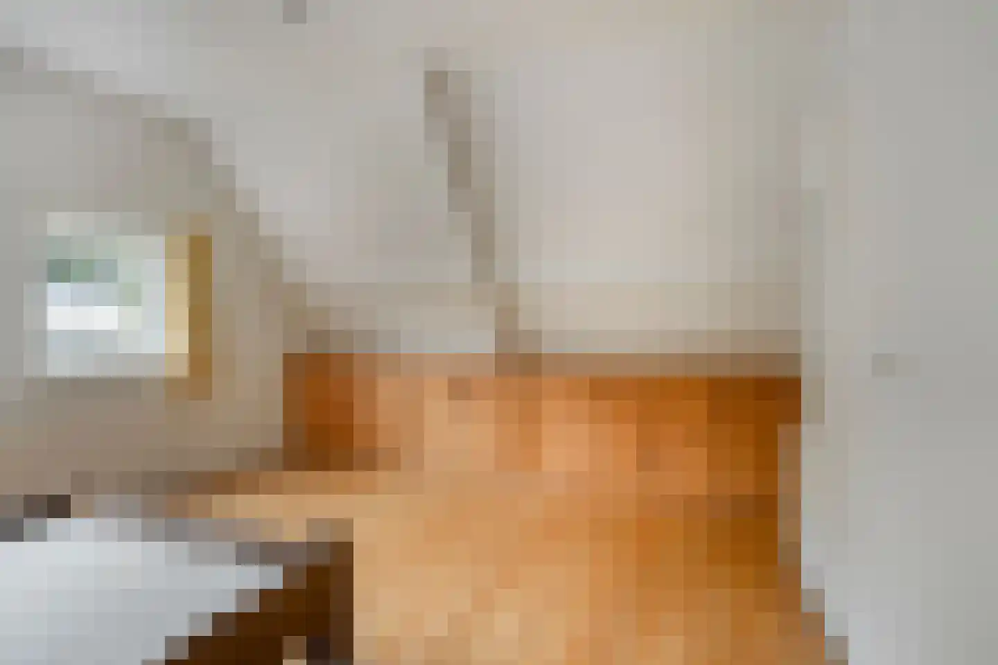 Ds Veenweg 157 De Knipe thumbnail 23