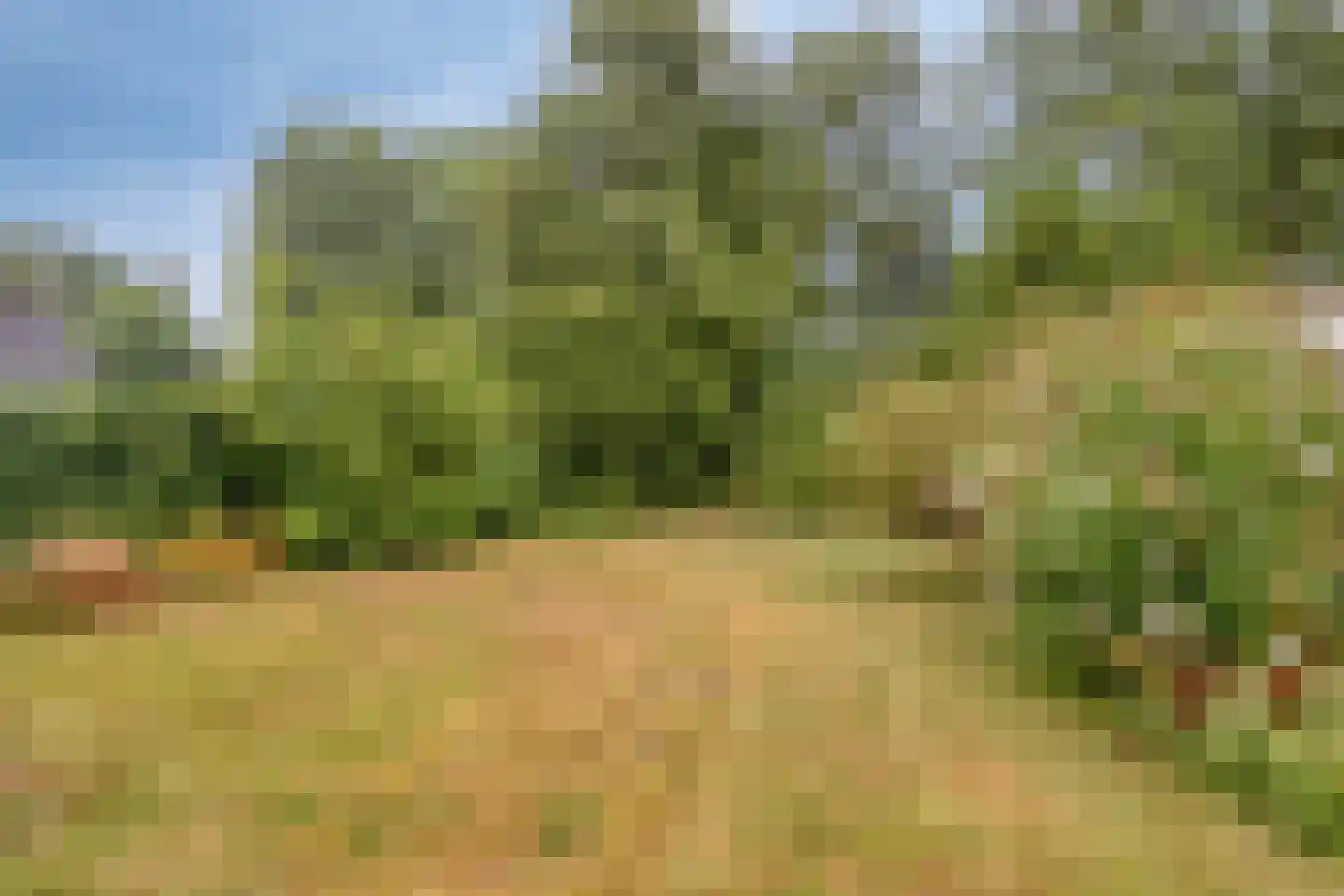 Ds Veenweg 157 De Knipe thumbnail 29