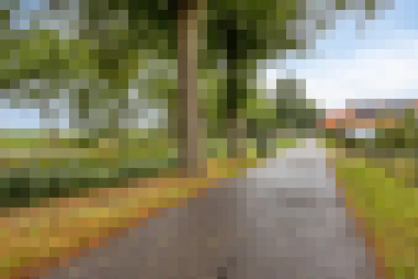 Ds Veenweg 157 De Knipe thumbnail 32