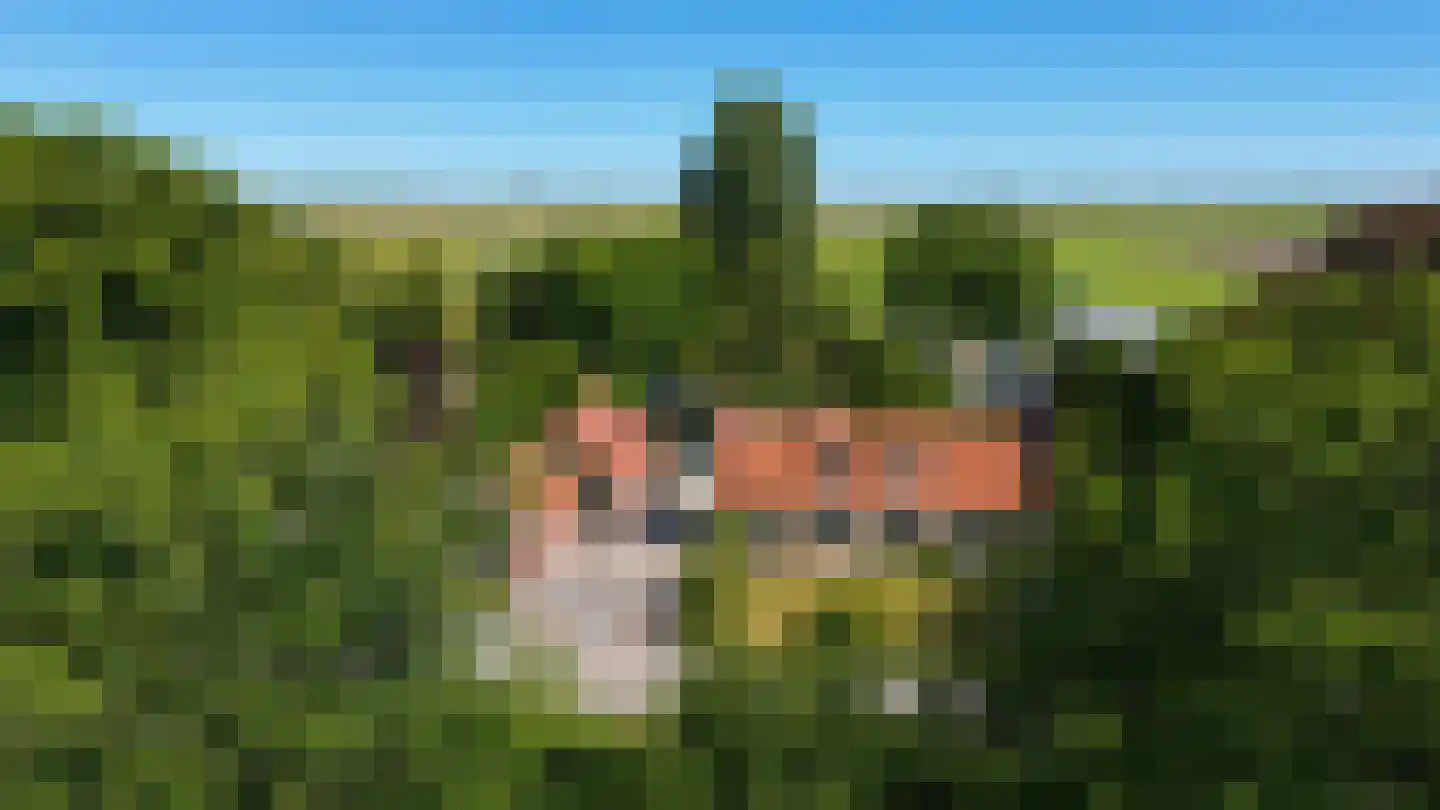 Ds Veenweg 157 De Knipe thumbnail 4
