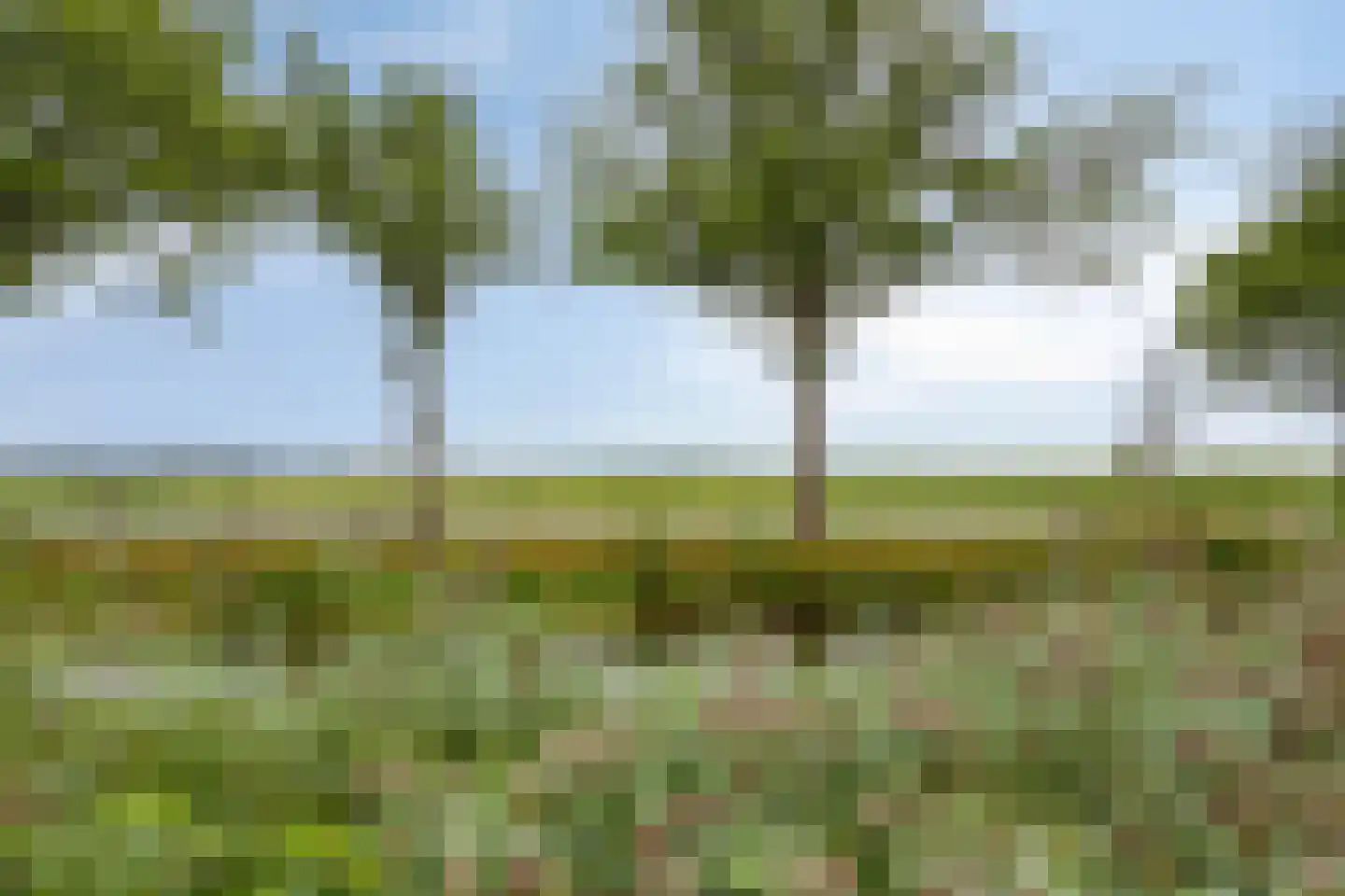 Ds Veenweg 157 De Knipe thumbnail 5