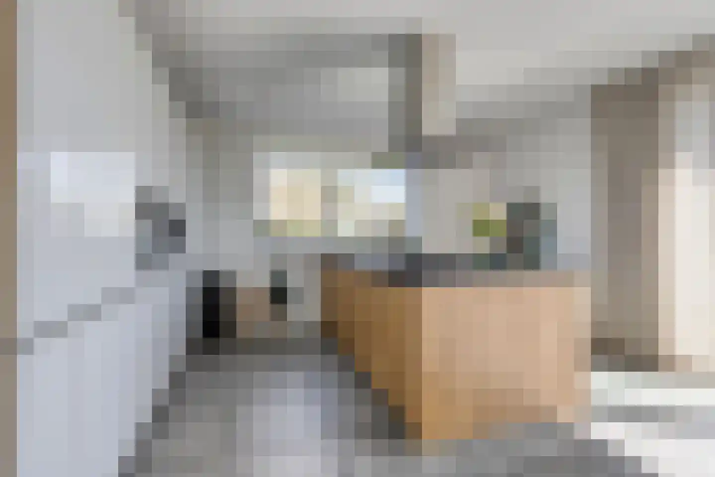 Ds Veenweg 54 De Knipe thumbnail 14