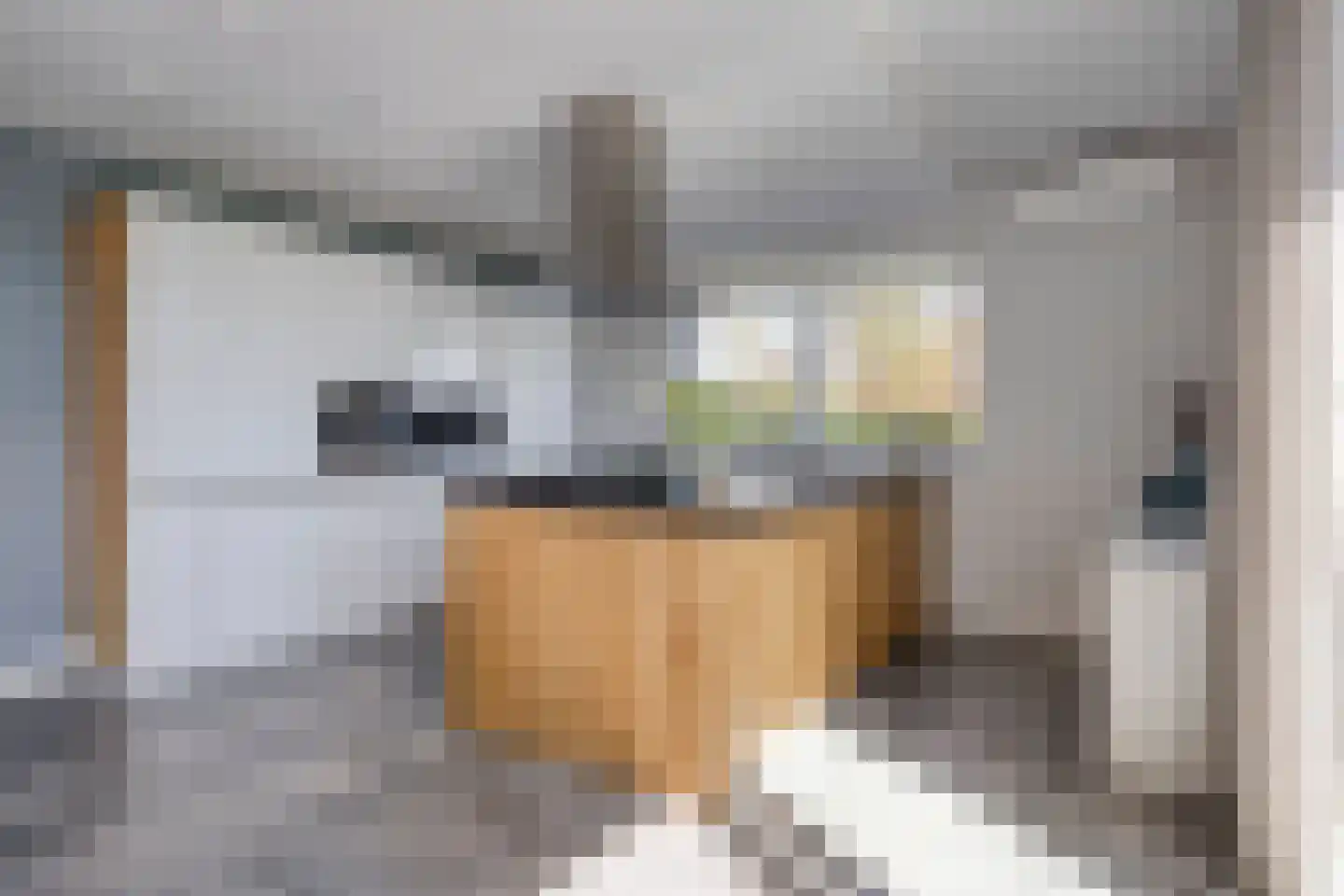 Ds Veenweg 54 De Knipe thumbnail 15