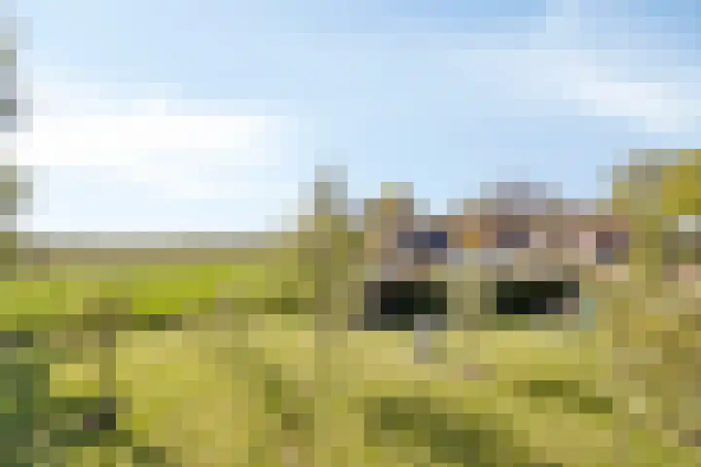 Ds Veenweg 54 De Knipe thumbnail 32