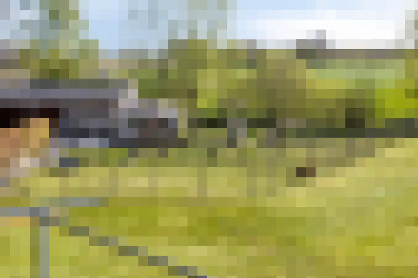 Ds Veenweg 54 De Knipe thumbnail 34
