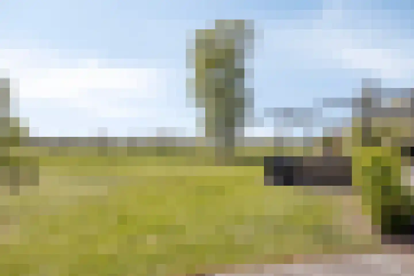 Ds Veenweg 54 De Knipe thumbnail 36