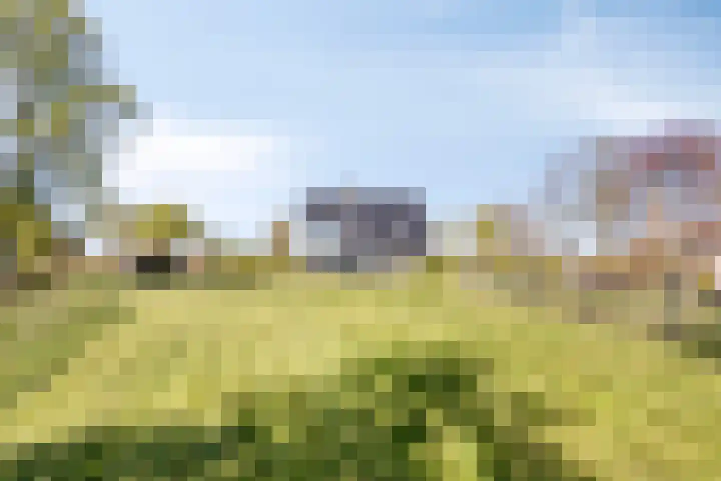 Ds Veenweg 54 De Knipe thumbnail 44
