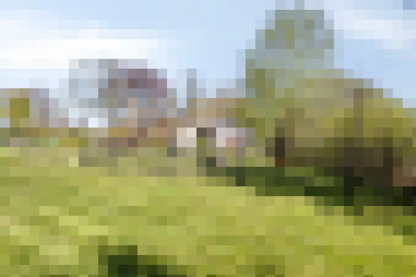 Ds Veenweg 54 De Knipe thumbnail 45