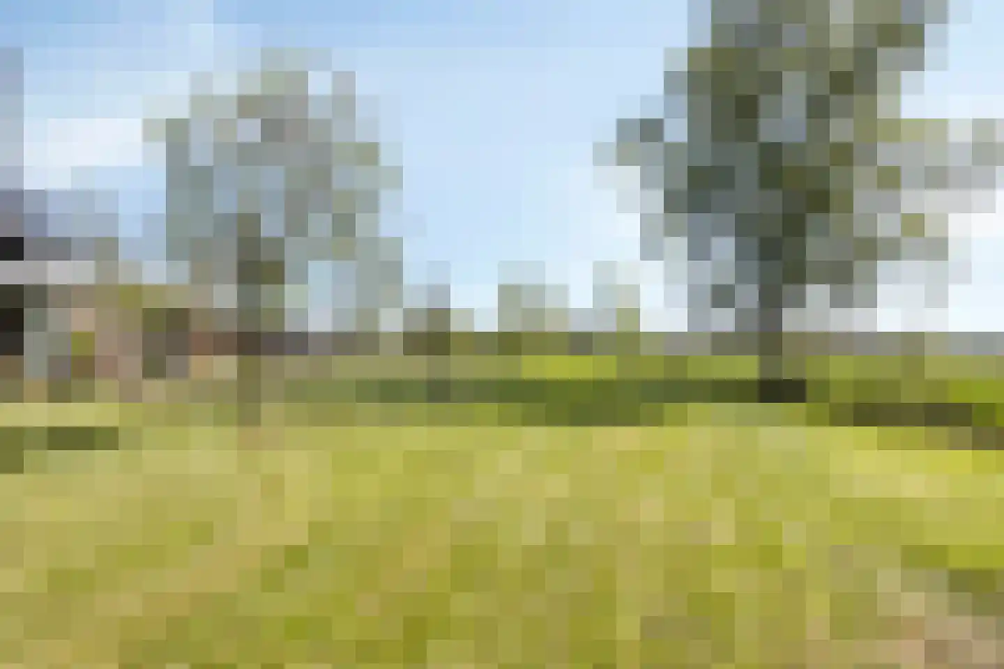 Ds Veenweg 54 De Knipe thumbnail 50