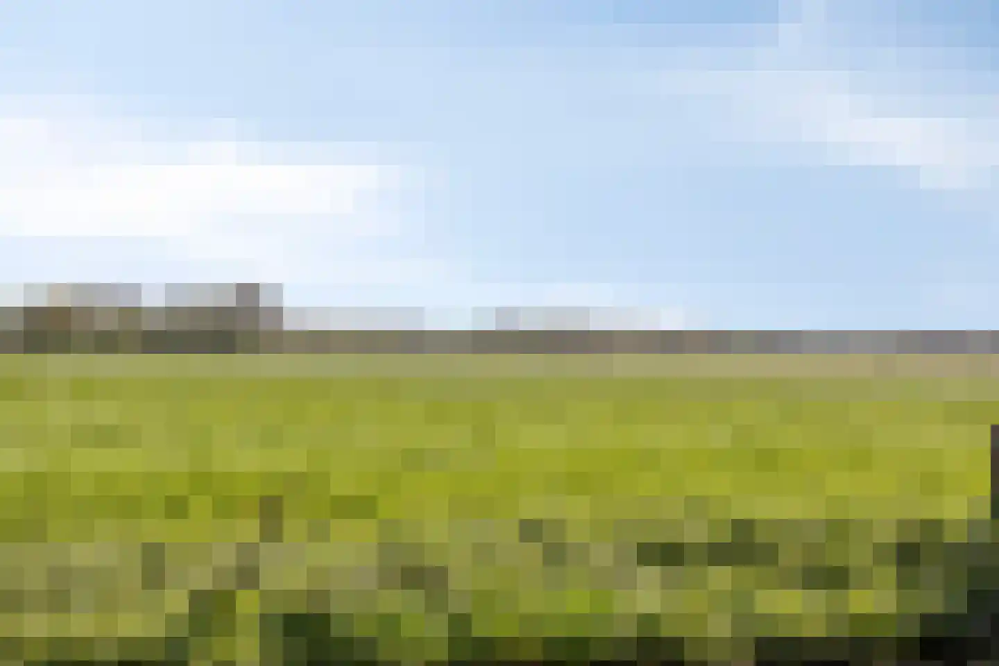 Ds Veenweg 54 De Knipe thumbnail 60