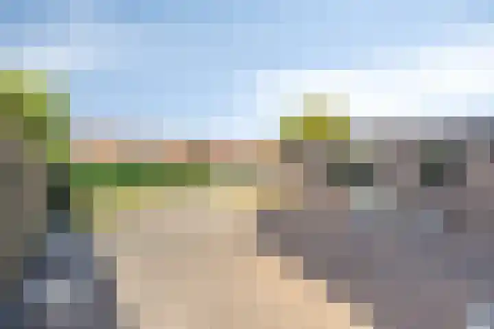 Ds. Wentinkstraat 11 Nieuwe-Tonge thumbnail 27