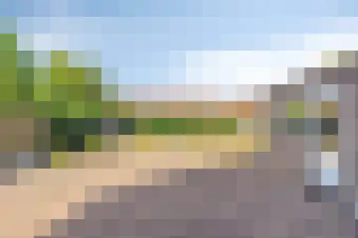 Ds. Wentinkstraat 11 Nieuwe-Tonge thumbnail 28