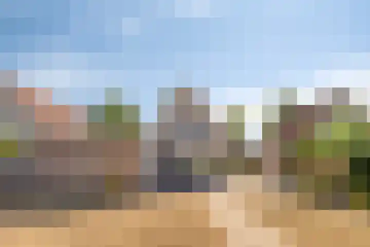 Ds. Wentinkstraat 11 Nieuwe-Tonge thumbnail 29