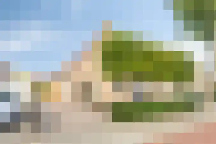 Ds. Wentinkstraat 11 Nieuwe-Tonge thumbnail 32