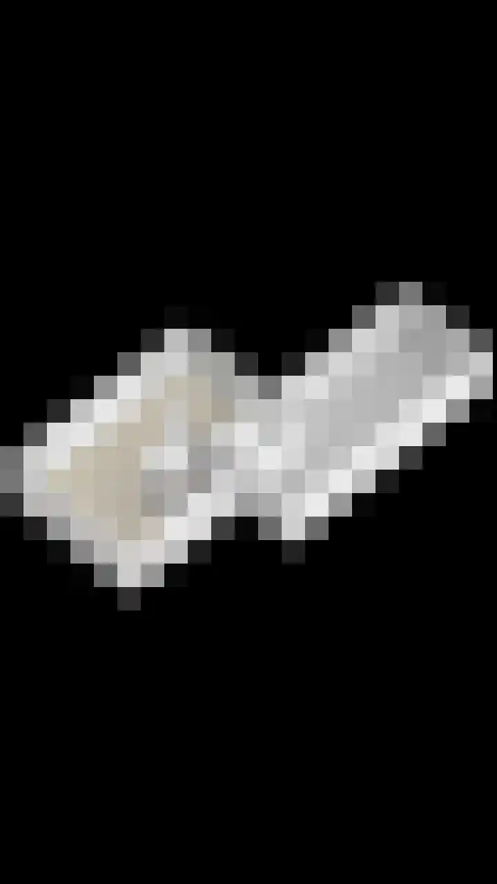 Ds. Wentinkstraat 11 Nieuwe-Tonge thumbnail 36