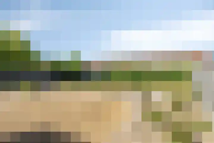 Ds. Wentinkstraat 11 Nieuwe-Tonge thumbnail 5