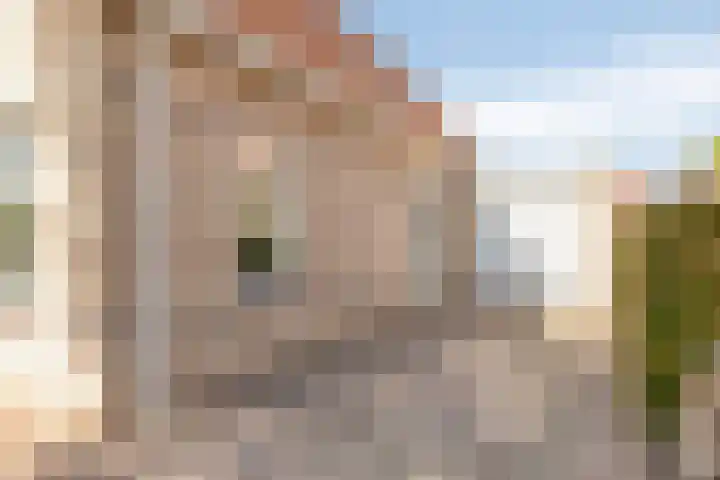 Ds. Wentinkstraat 11 Nieuwe-Tonge thumbnail 7
