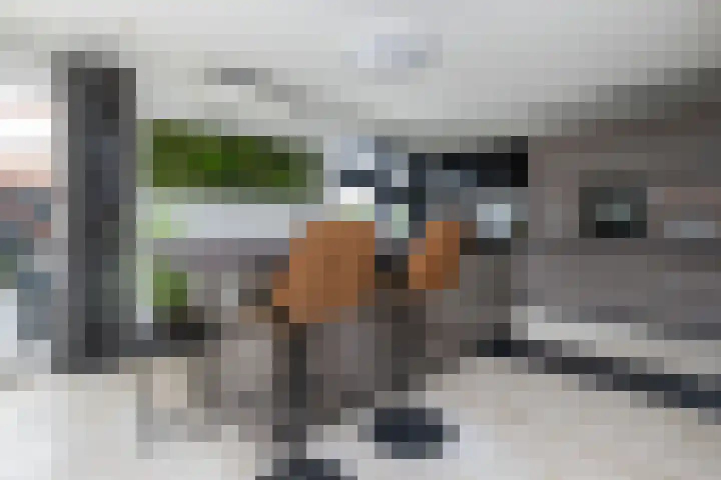 Ds. Wentinkstraat 15 a Nieuwe-Tonge thumbnail 12