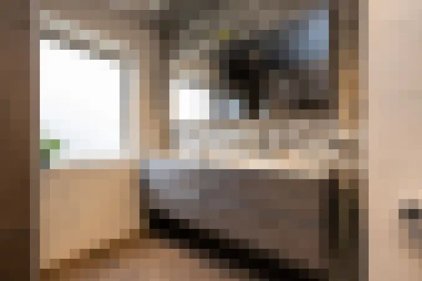 Ds. Wentinkstraat 15 a Nieuwe-Tonge thumbnail 17