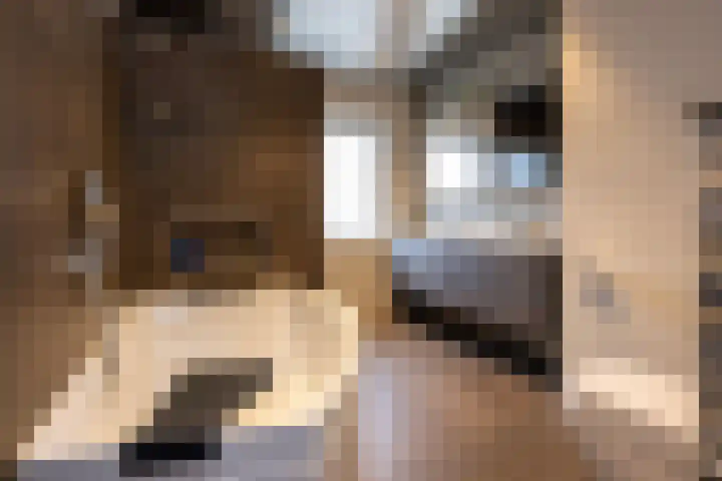 Ds. Wentinkstraat 15 a Nieuwe-Tonge thumbnail 20