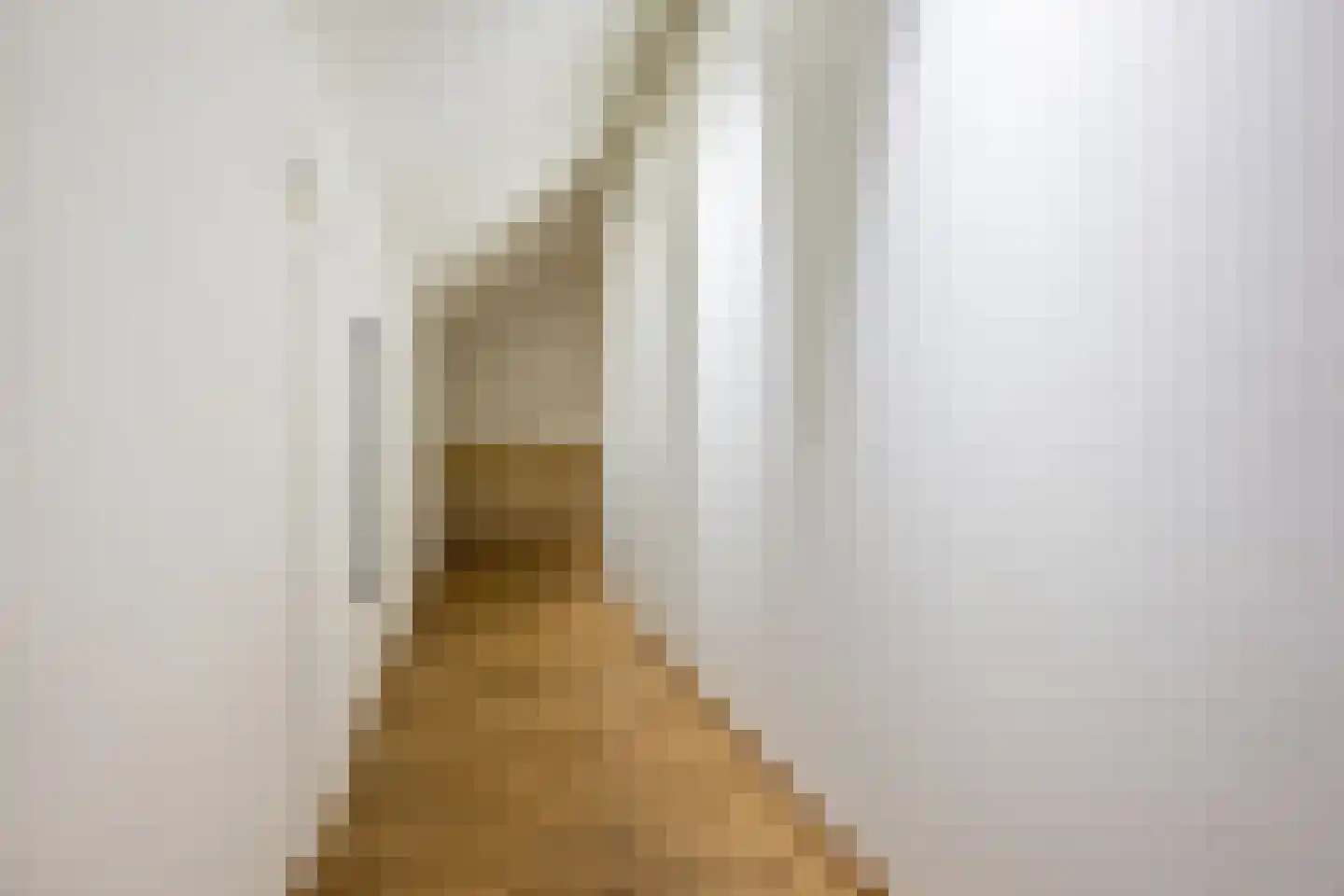 Ds. Wentinkstraat 15 a Nieuwe-Tonge thumbnail 27