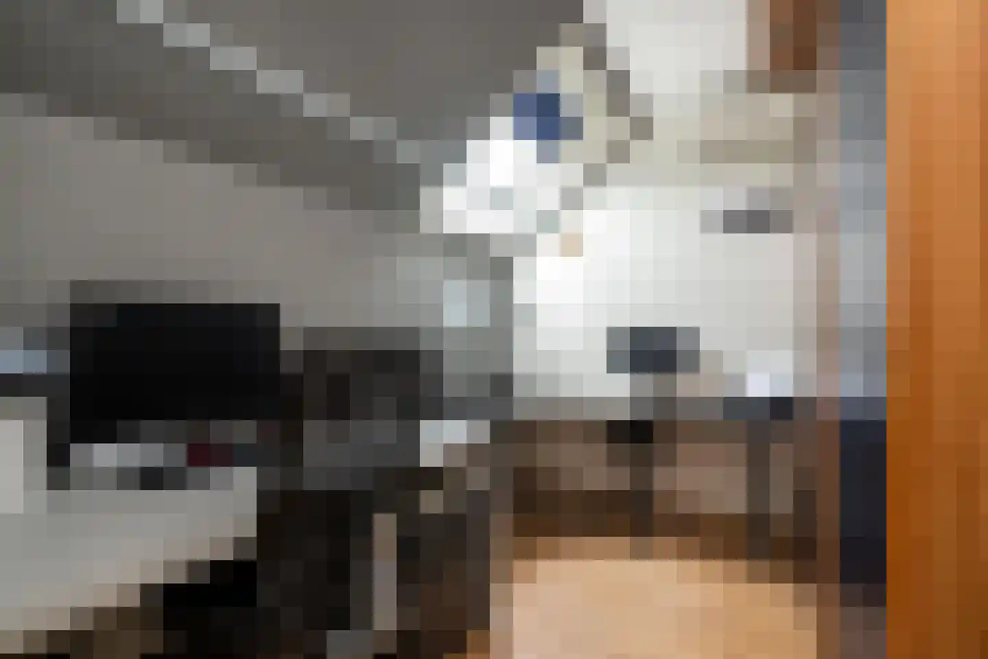 Ds. Wentinkstraat 15 a Nieuwe-Tonge thumbnail 30