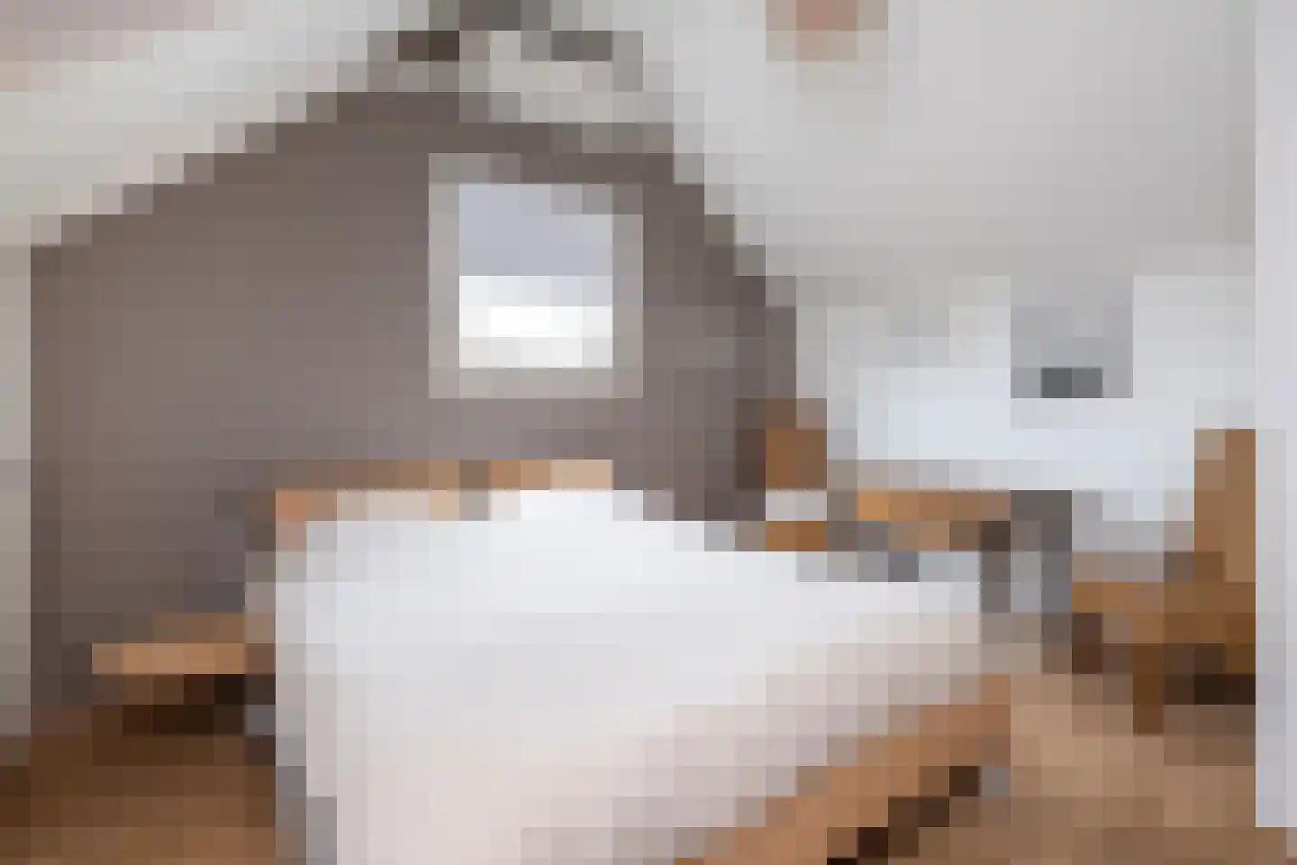 Ds. Wentinkstraat 15 a Nieuwe-Tonge thumbnail 32