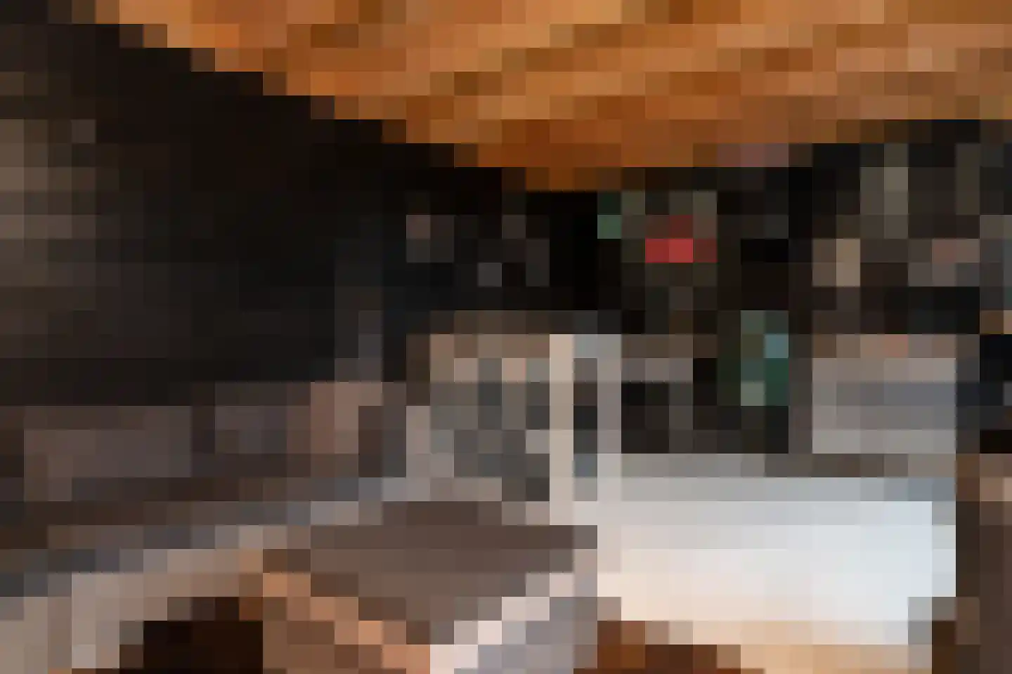 Ds. Wentinkstraat 15 a Nieuwe-Tonge thumbnail 40