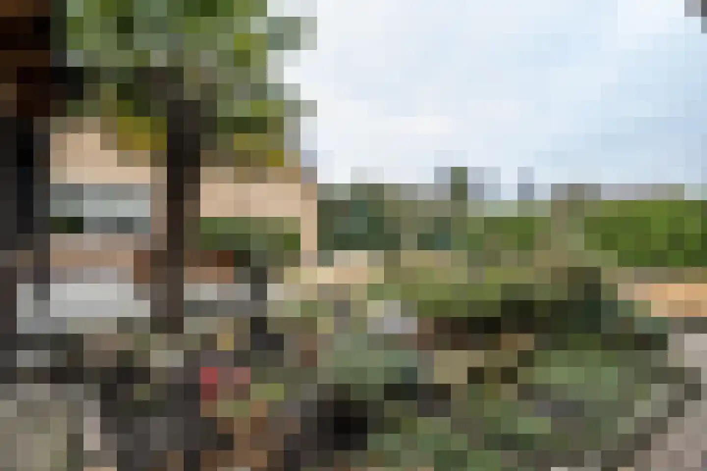 Ds. Wentinkstraat 15 a Nieuwe-Tonge thumbnail 47