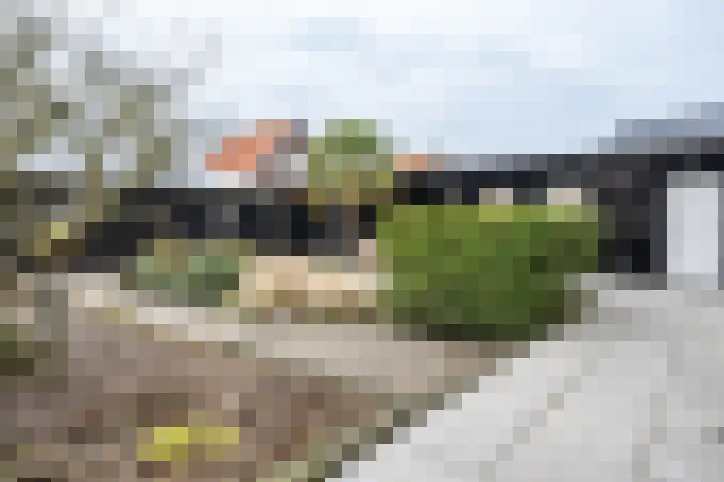 Ds. Wentinkstraat 15 a Nieuwe-Tonge thumbnail 49