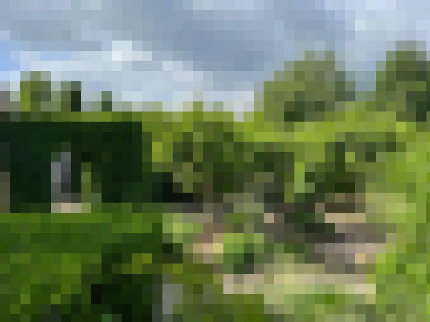 Ds. Wentinkstraat 15 a Nieuwe-Tonge thumbnail 49