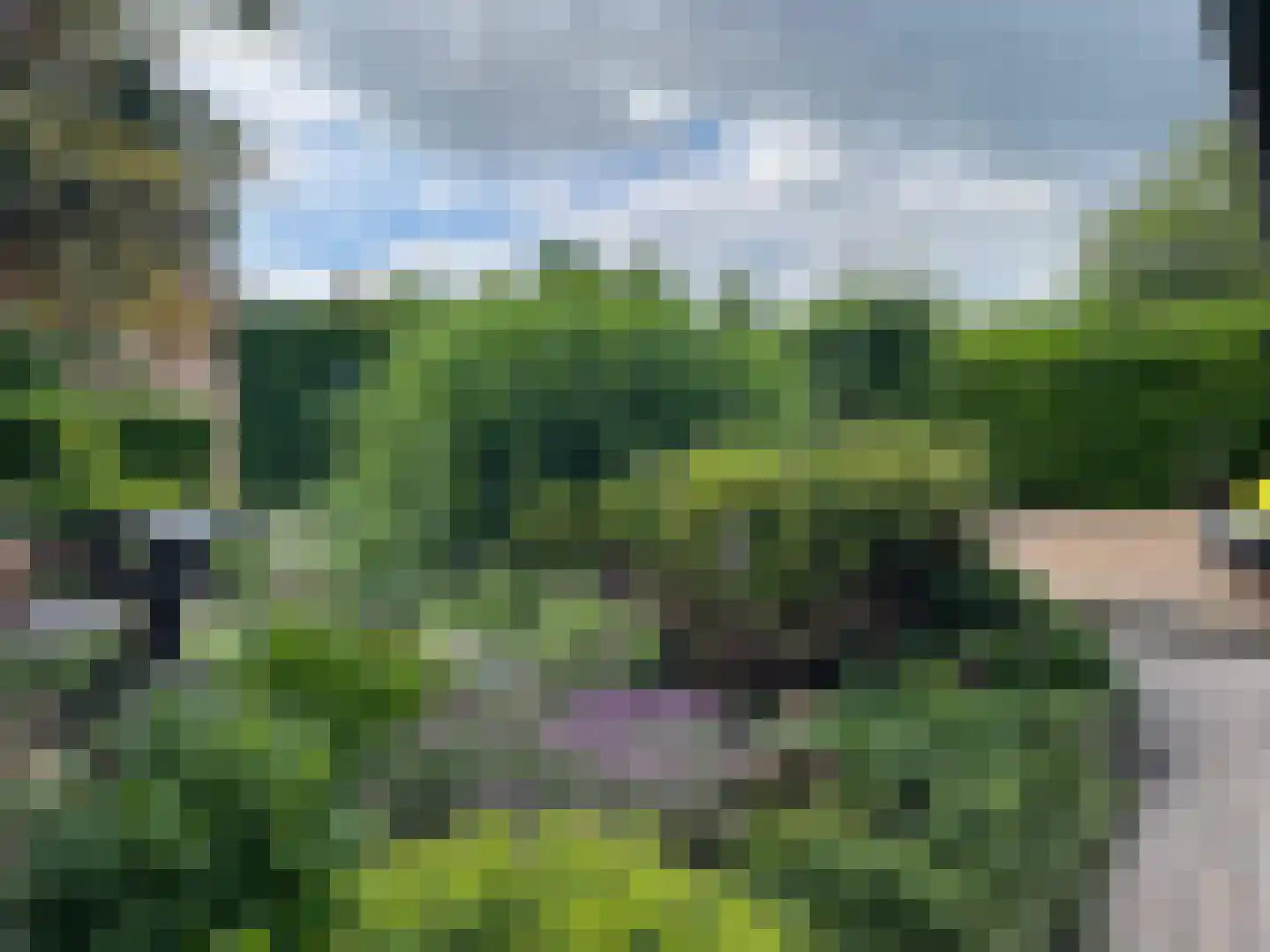 Ds. Wentinkstraat 15 a Nieuwe-Tonge thumbnail 50