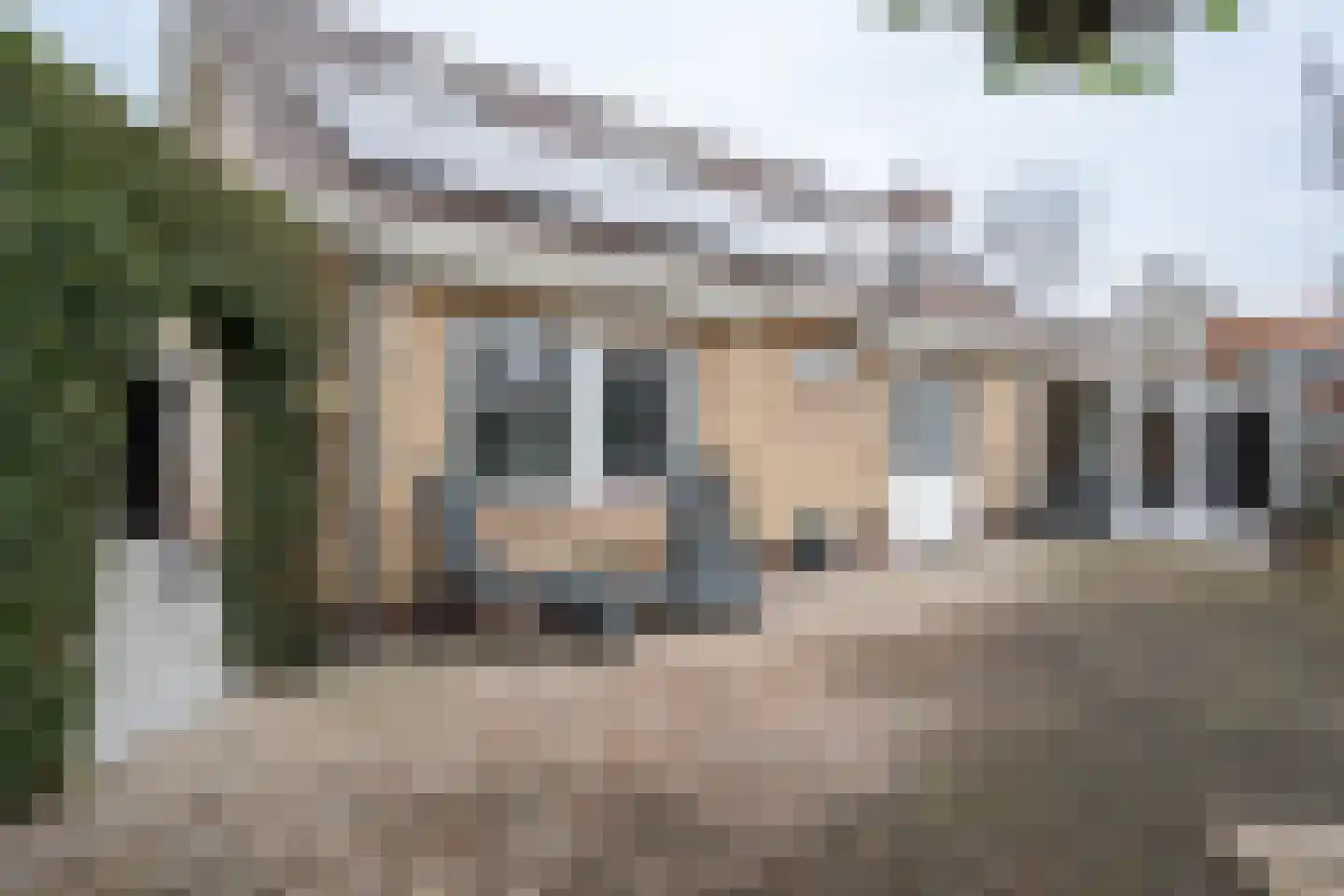 Ds. Wentinkstraat 15 a Nieuwe-Tonge thumbnail 51