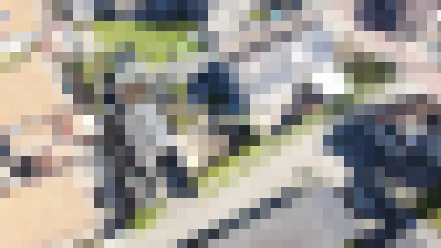 Ds. Wentinkstraat 15 a Nieuwe-Tonge thumbnail 57