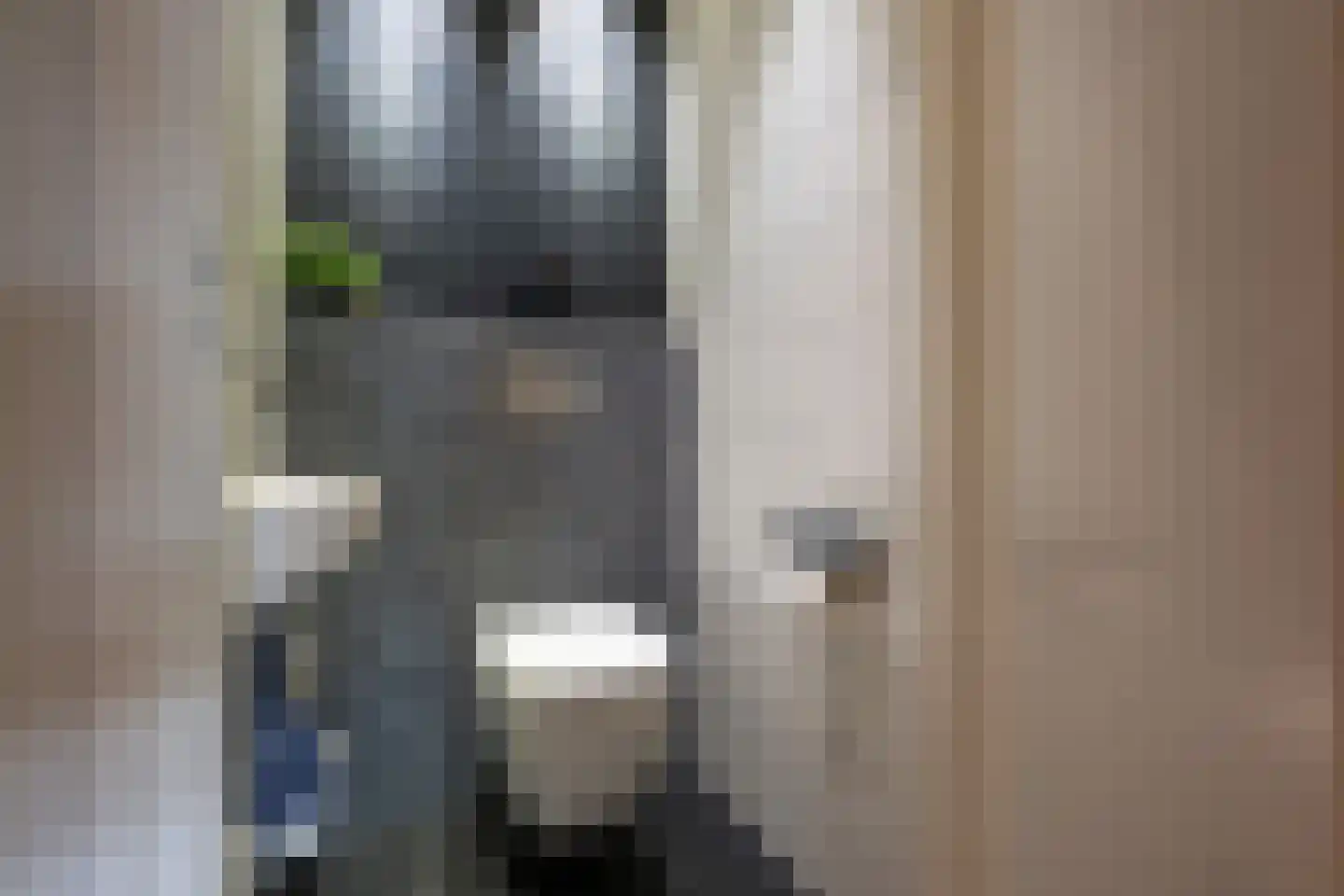 Ds. Wentinkstraat 15 a Nieuwe-Tonge thumbnail 6