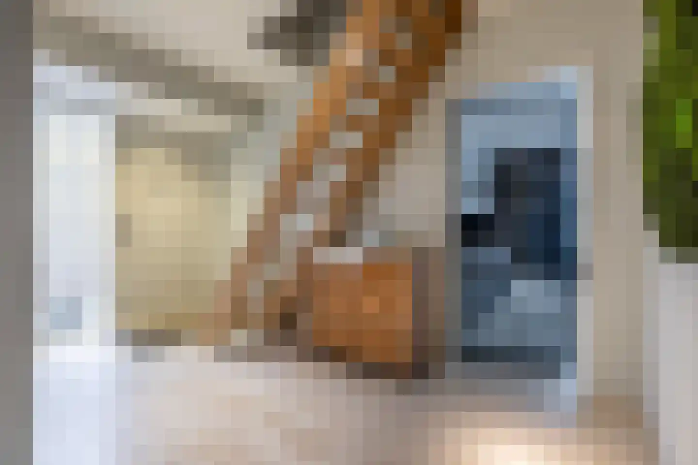 Ds. Wentinkstraat 15 a Nieuwe-Tonge thumbnail 7