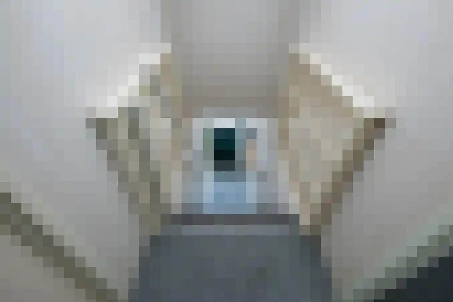 Ds. Wentinkstraat 15 Nieuwe-Tonge thumbnail 15