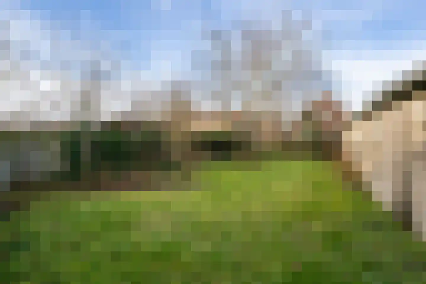 Ds. Wentinkstraat 15 Nieuwe-Tonge thumbnail 28